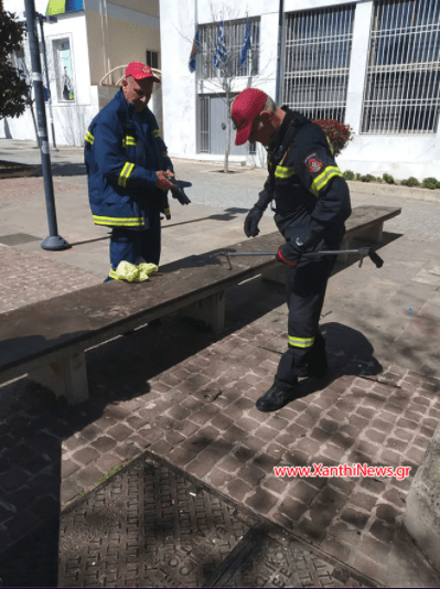 Φιδάκι στην κεντρική πλατεία Ξάνθης – Άμεσα επενέβη η πυροσβεστική υπηρεσία