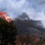 Πυρκαγιά σε δασική έκταση στην περιοχή Αρήνη Ηλείας