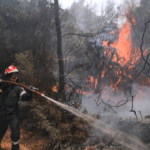 Πυροσβεστική: 55 δασικές πυρκαγιές το τελευταίο 24ωρο (07/04/22)