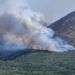 Πυροσβεστική: 83 δασικές πυρκαγιές το τελευταίο 24ωρο (09/04/22)