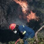 Πυρκαγιά σε γεωργική έκταση στην Κρήτη - Συνέλαβαν τον υπαίτιο