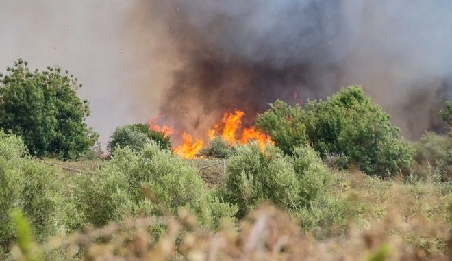 Πυροσβεστική: 22 δασικές πυρκαγιές το τελευταίο 24ωρο (20/04/22)