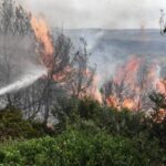 Πυροσβεστική: 85 δασικές πυρκαγιές το τελευταίο 24ωρο (27/04/22)