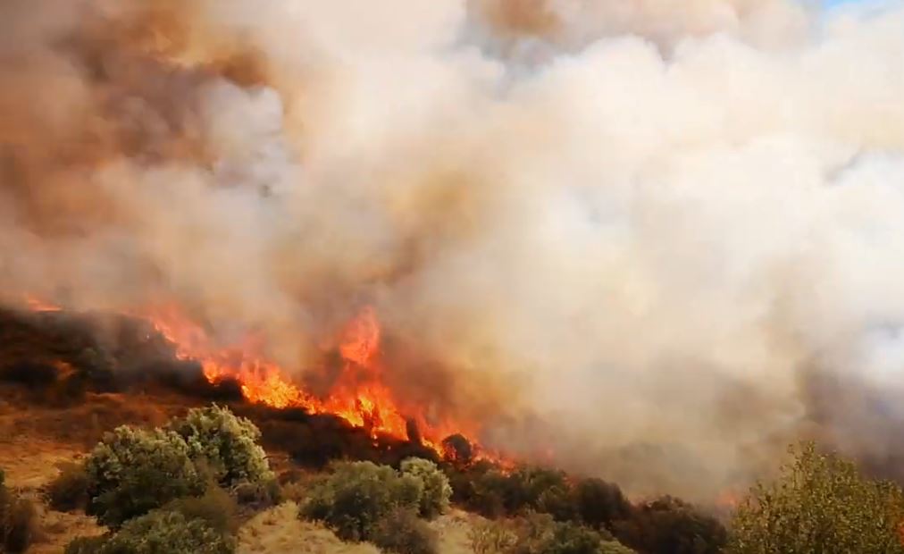 Χανιά - Επί ποδός η Πυροσβεστική για πυρκαγιά σε δασική έκταση