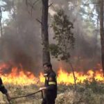 Πυρκαγιά σε αγροτοδασική έκταση στις Φάνες Ρόδου