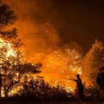 Meteo: Αυξήθηκαν κατά 750% οι δασικές πυρκαγιές το πρώτο τρίμηνο του 2022