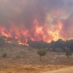 Μεγάλη πυρκαγιά σε δασική έκταση στο Καρπενήσι Ευρυτανίας - Κινητοποιήθηκαν και εναέριες δυνάμεις.