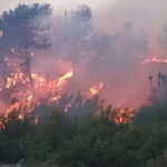 Πυρκαγιά σε θαμνώδη – ημιδασώδη περιοχή στα Κολύμπια Ρόδου (Φωτό)