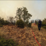 Διοικητικό πρόστιμο για πυρκαγιά που εκδηλώθηκε σε οικοπεδικό χώρο στο δήμο Δέλτα Θεσσαλονίκης