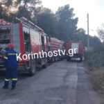 Υπό μερικό έλεγχο τέθηκε η πυρκαγιά σε δασική έκταση στις Κεχριές Κορινθίας