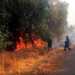 Άμεσα τέθηκε υπό μερικό έλεγχο πυρκαγιά σε γεωργική έκταση στο Καμάρι Αρκαδίας