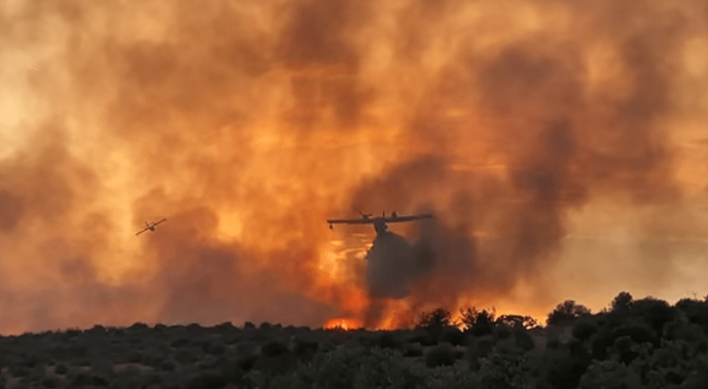 Υπό μερικό έλεγχο η πυρκαγιά στη Μαγούλα Αττικής