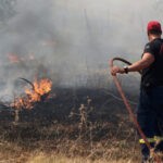 Διοικητικά πρόστιμα για πυρκαγιές σε Βοιωτία και Χαλκιδική