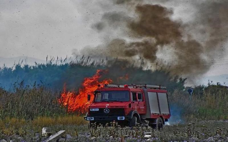 Πυρκαγιά στην περιοχή της Νέας Τίρυνθας στην Αργολίδα