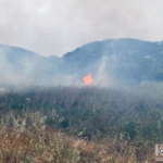 Πυρκαγιά σε ξερά χόρτα στη Λίμνη Ηραίου στο Λουτράκι (Φωτό)