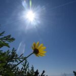 Καιρός – meteo: Υποχωρεί η κακοκαιρία – Στους 32°C το θερμόμετρο τη Δευτέρα