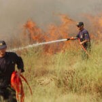 Πυρκαγιά σε ξερά χόρτα μεταξύ Μάνδρας και Ελευσίνας