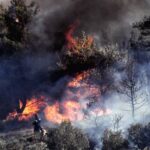 Υπό μερικό έλεγχο η πυρκαγιά στους Χράνους Μεσσηνίας