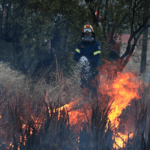 Πυροσβεστική: 38 δασικές πυρκαγιές το τελευταίο 24ωρο (31/05/22)