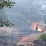 Πυρκαγιά μεταξύ Μανεσίου και Τρεχλού Καλαβρλύτων - Άμεση η επέμβαση της Πυροσβεστικής