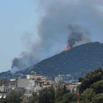 Σε εξέλιξη πυρκαγιά σε χαμηλή βλάστηση στην Αρτέμιδα