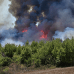 Σε εξέλιξη μεγάλη πυρκαγιά σε αγροτοδασική έκταση στην Φθιώτιδα