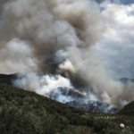 Πυροσβεστική: 50 δασικές πυρκαγιές εκδηλώθηκαν το τελευταίο 24ωρο (23/6/2022)