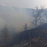 Πυρκαγιά εν υπαίθρω στην Αγία Τριάδα Θεσσαλονίκης (Φωτό)