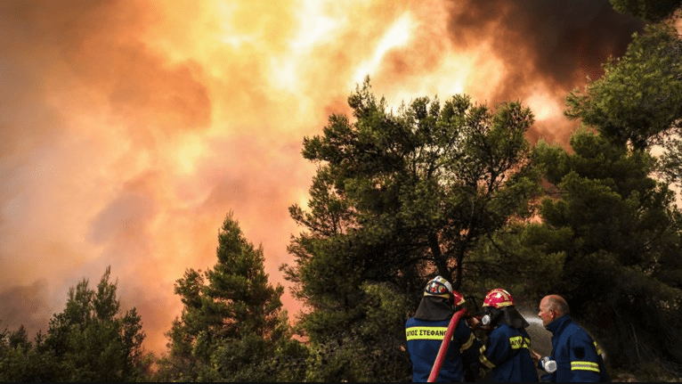 Πυροσβεστική: 43 δασικές πυρκαγιές εκδηλώθηκαν το τελευταίο 24ωρο (30/6/2022)