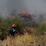 Σε εξέλιξη πυρκαγιά σε δασική έκταση στην Περαχώρα Κορινθίας