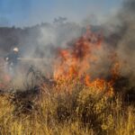 Πυρκαγιά εν υπαίθρω στην Νίκαια Αττικής