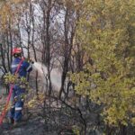 Συμβάντα ημέρας από το Πυροσβεστικό Σώμα (08/06/22)