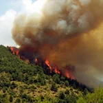 Σε εξέλιξη μεγάλη πυρκαγιά στο Αετοχώρι Αλεξανδρούπολης