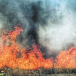 Πυρκαγιά εν υπαιθρω στη Σίνδο Θεσσαλονίκης – Διακόπτονται δρομολόγια της ΤΡΑΙΝΟΣΕ