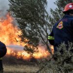 Πελοπόννησος: Καταφθάνουν οι Ευρωπαίοι πυροσβέστες για την αντιμετώπιση των δασικών πυρκαγιών