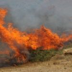 Πυρκαγιά σε χαμηλή βλάστηση στην περιοχή Λιόφυτη στα Σπάτα