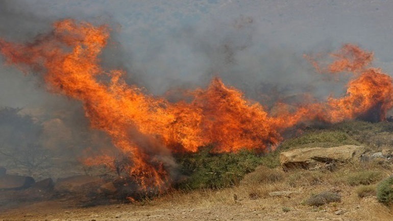 Πυρκαγιά σε χαμηλή βλάστηση στην περιοχή Λιόφυτη στα Σπάτα