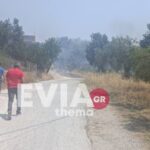 Εύβοια: Δυο πυρκαγιές κοντά στο Αλιβέρι