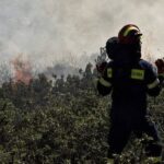 Πυρκαγιά σε δασική έκταση στη Λιχάδα Αιδηψού Ευβοίας