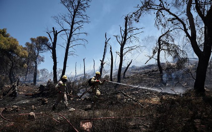 Πυροσβεστική: 51 δασικές πυρκαγιές εκδηλώθηκαν το τελευταίο 24ωρο (15/7/2022)