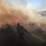 Πυρκαγιά σε χαμηλή βλάστηση στη Φυλή Αττικής