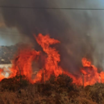 Σε εξέλιξη πυρκαγιά σε χαμηλή βλάστηση στην περιοχή Γάζι Ηρακλείου Κρήτης (Φωτό)