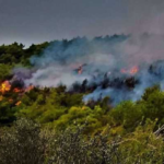 Σε εξέλιξη μεγάλη δασική πυρκαγιά στην περιοχή Ασωπία Βοιωτίας