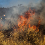 Σε εξέλιξη πυρκαγιά σε χαμηλή βλάστηση στο Πικέρμι Αττικής