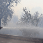 Πυρκαγιά στο Πορτό Γερμενό: Μήνυμα του 112 – Διακοπή κυκλοφορίας σε επαρχιακές οδούς