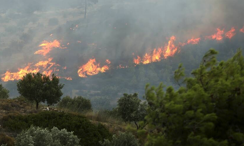 Σε εξέλιξη μεγάλη πυρκαγιά στο Καλαμάκι Αχαΐας