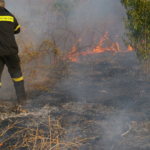 Σύλληψη για πυρκαγιά από αμέλεια σε ξερά χόρτα εντός οικοπεδικού χώρου στο Άργος