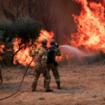 Πυρκαγιά σε δασική έκταση στα Γιάλτρα Ευβοίας