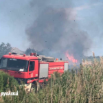 Πυρκαγιά σε έκταση με καλαμιές στην Νέα Κίος στην Αργολίδα (Φωτό)