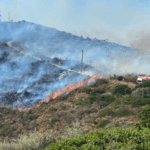 Μεσσηνία: Μάχη των πυροσβεστικών δυνάμεων να μην φτάσει η πυρκαγιά στη Χρυσοκελλαριά